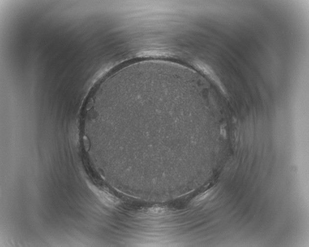 X0000066090204200603101215