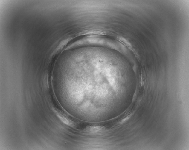 X0000066090205200603101215