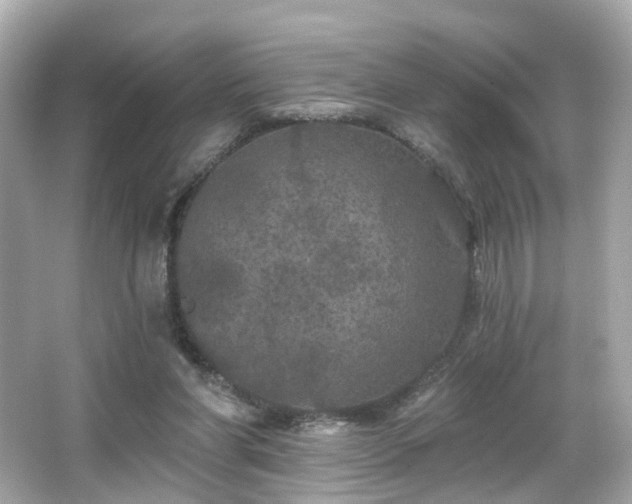 X0000066090206200603101214