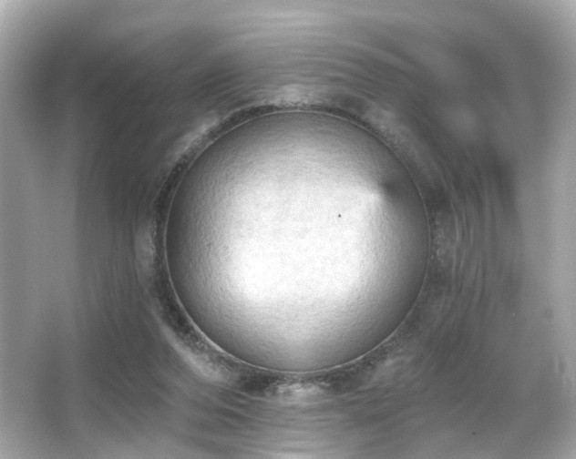 X0000066090208200603101214