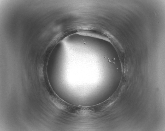 X0000066090209200603101214