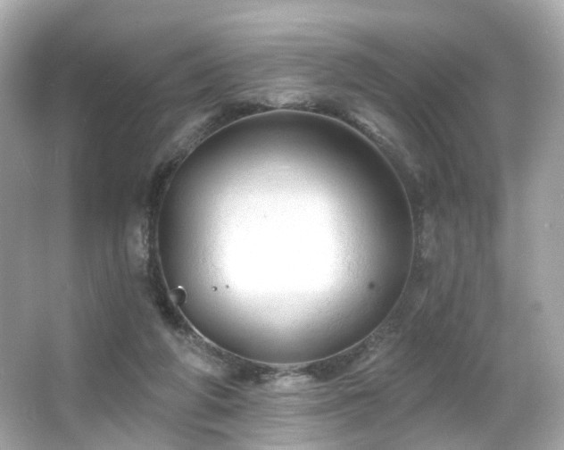 X0000066090210200603101214