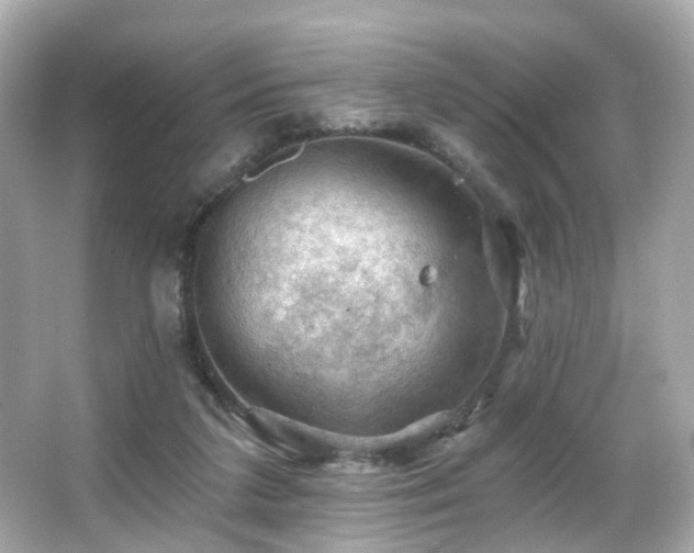 X0000066090211200603101214