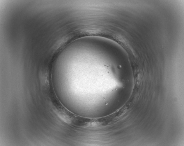 X0000066090212200603101214