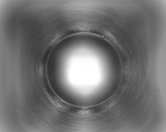 X0000066090213200603101214