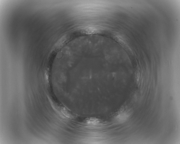 X0000066090214200603101214