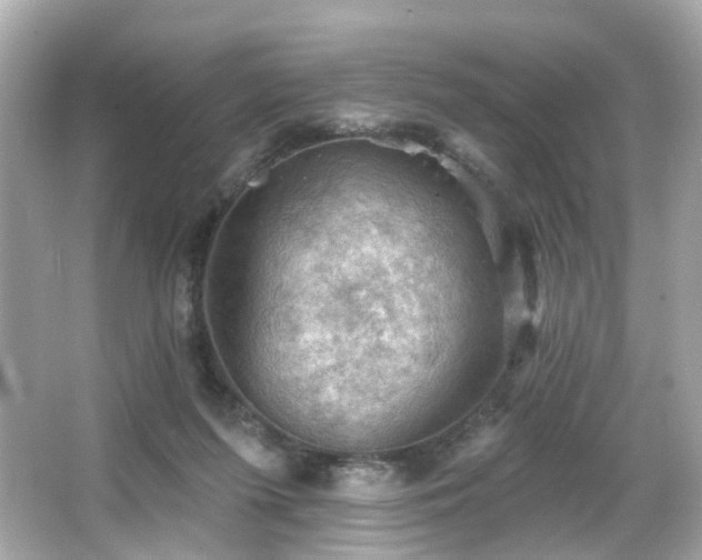 X0000066090215200603101214