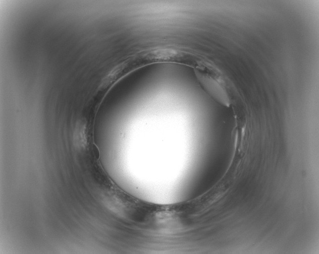 X0000066090216200603101214