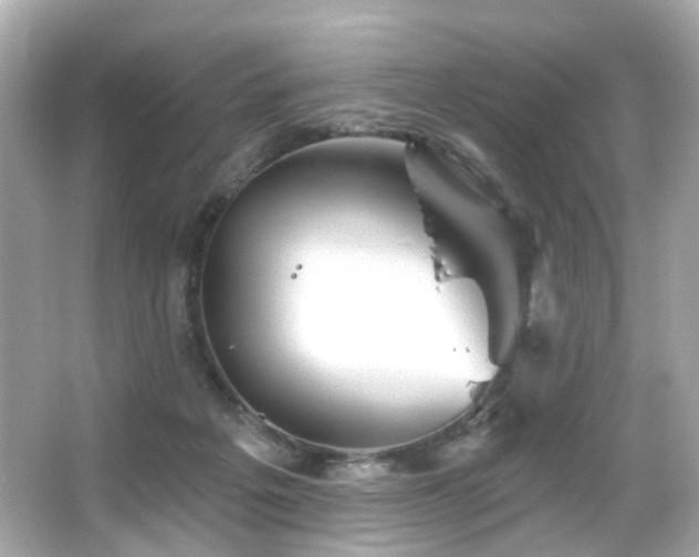 X0000066090217200603101214