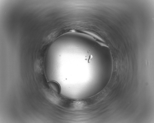 X0000066090218200603101214