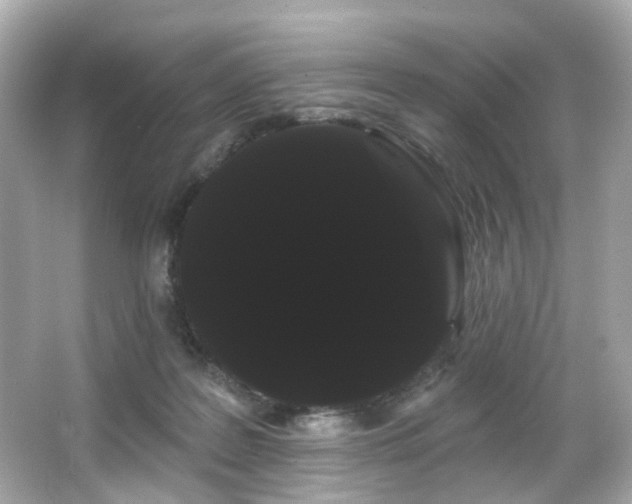 X0000066090219200603101214