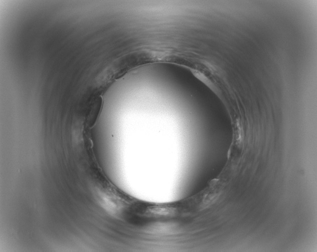 X0000066090221200603101214