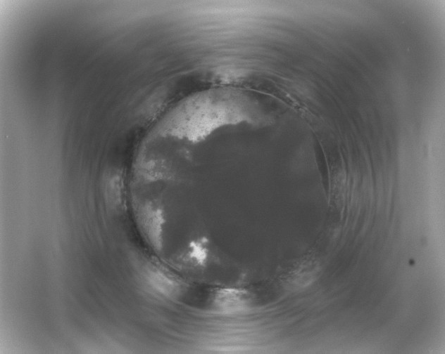 X0000066090222200603101214