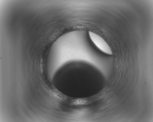 X0000066090223200603101214