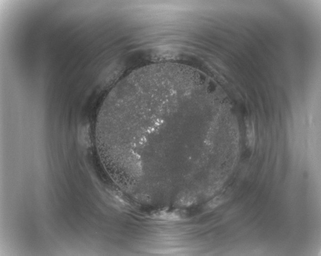 X0000066090224200603101214