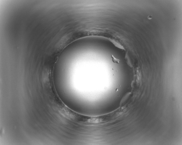 X0000066090225200603101214