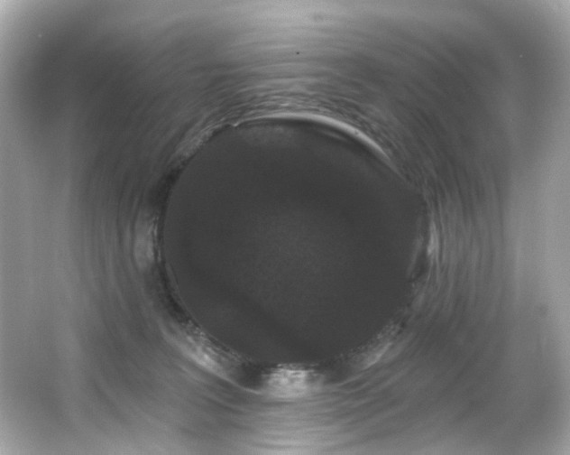 X0000066090227200603101214