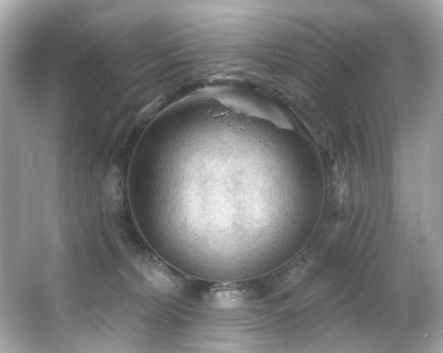 X0000066090228200603101214