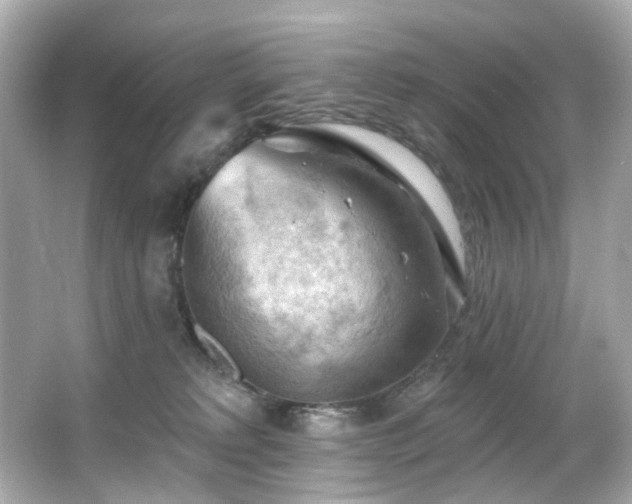 X0000066090229200603101214