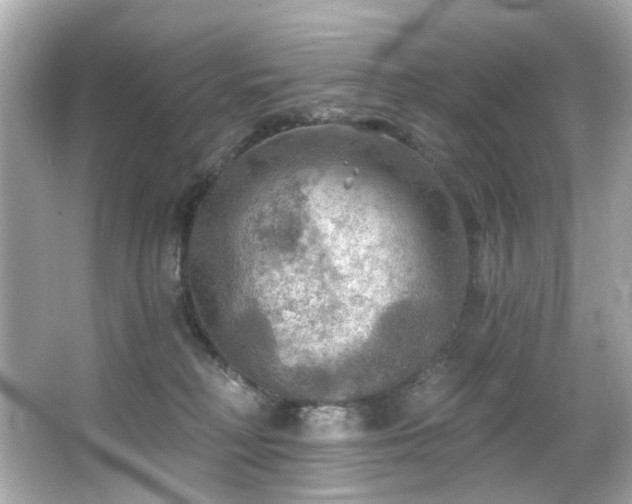 X0000066090230200603101214