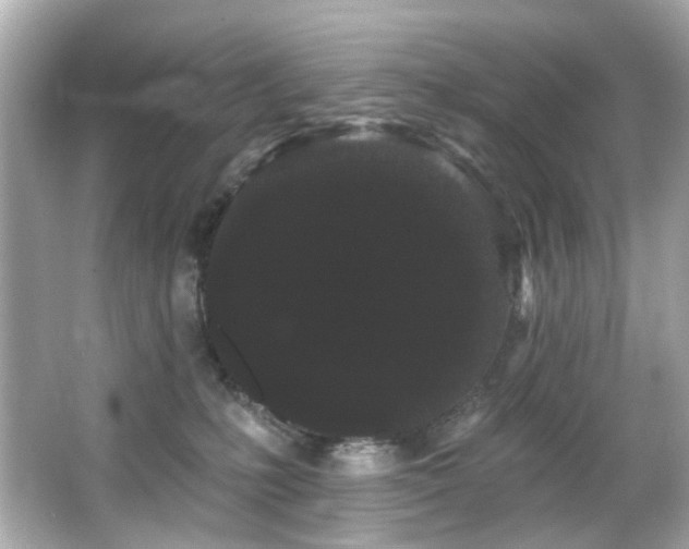 X0000066090231200603101214