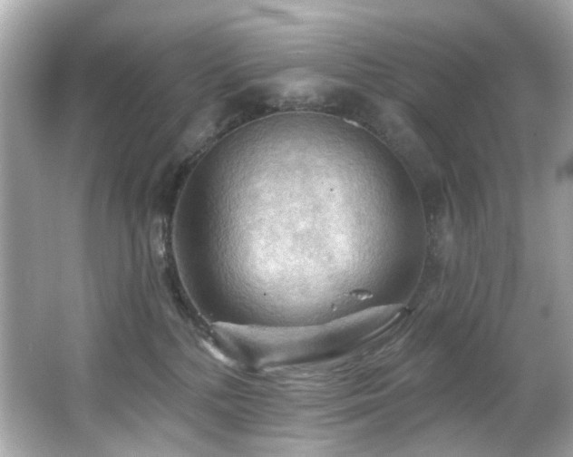 X0000066090232200603101214