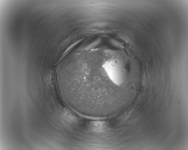 X0000066090233200603101214