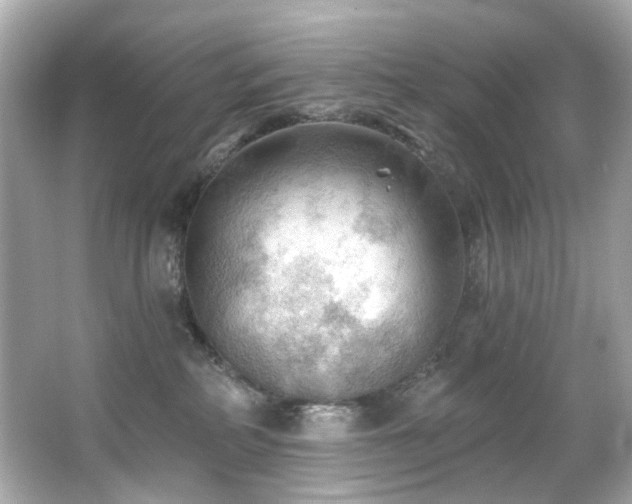 X0000066090234200603101214