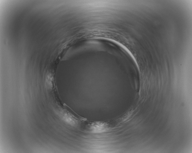 X0000066090235200603101214