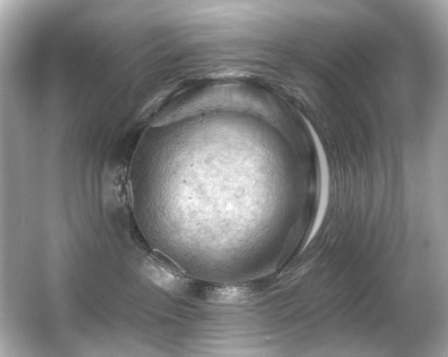 X0000066090237200603101214