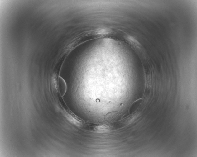 X0000066090238200603101214