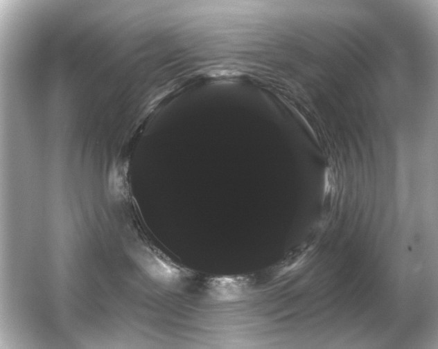 X0000066090239200603101214