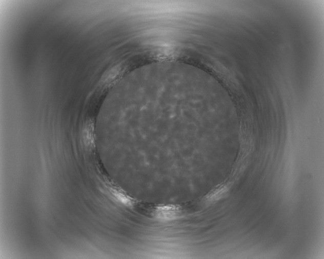 X0000066090240200603101214