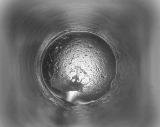 X0000066090241200603101213