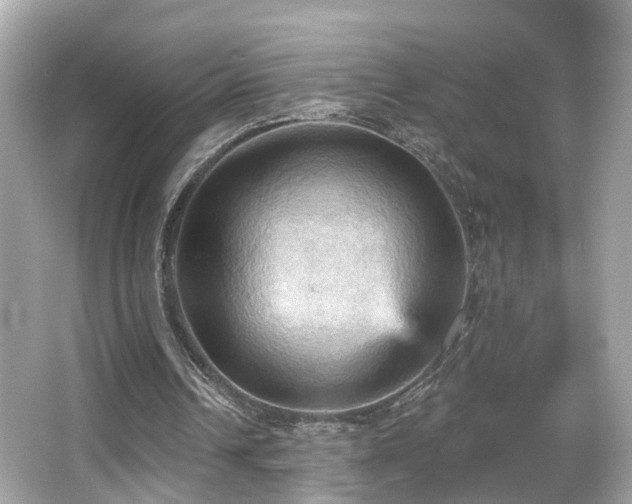 X0000066090242200603101213