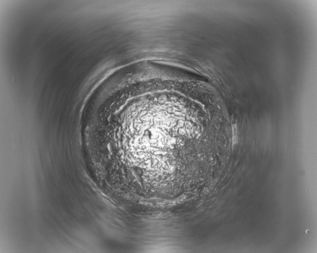 X0000066090243200603101213