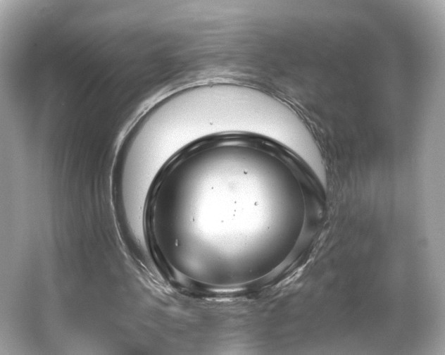 X0000066090244200603101213