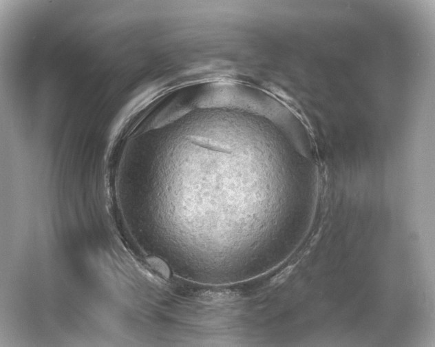 X0000066090245200603101213