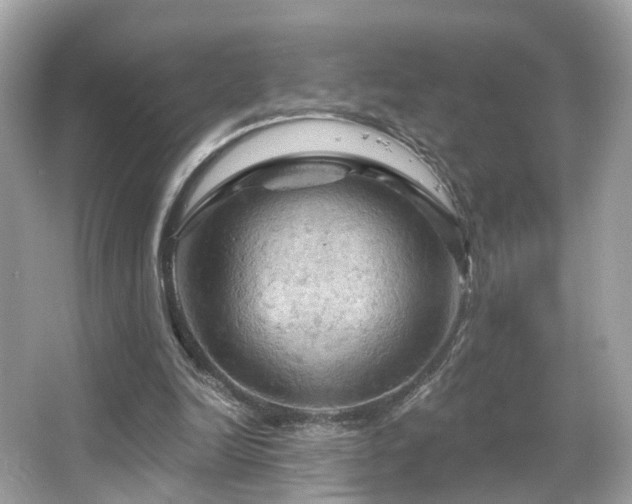 X0000066090246200603101213