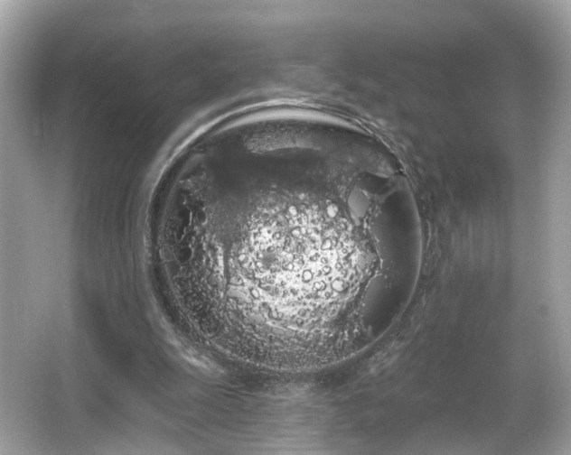 X0000066090247200603101213