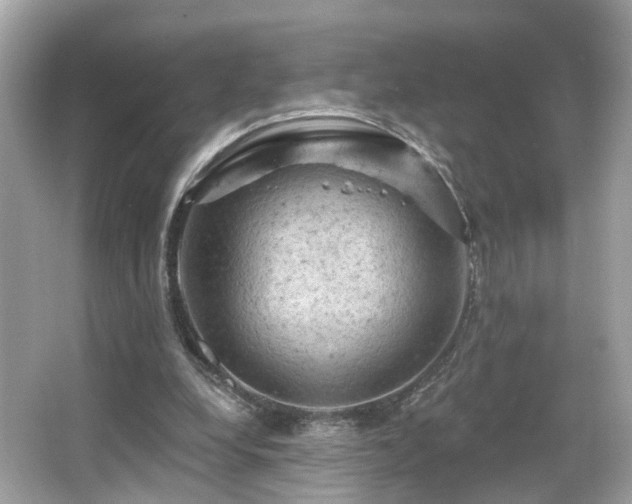 X0000066090248200603101213