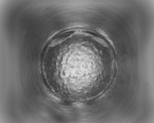 X0000066090249200603101213