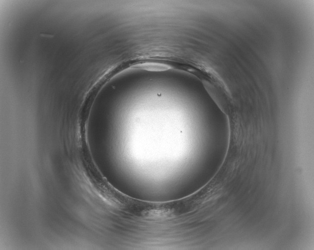 X0000066090251200603101213