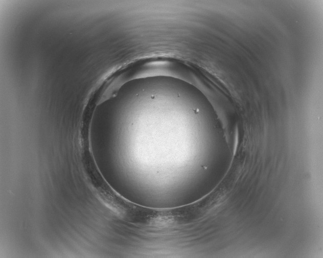 X0000066090252200603101213