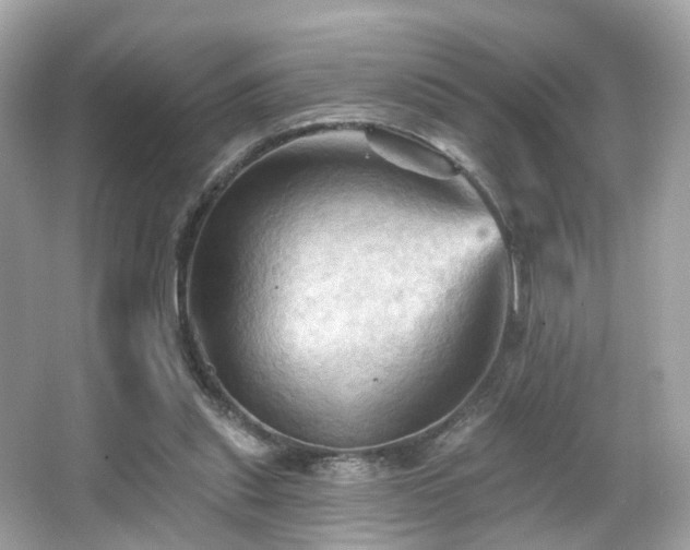 X0000066090253200603101213