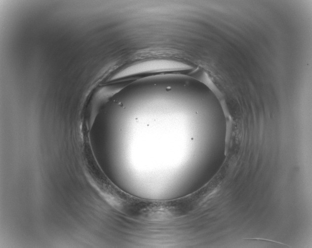 X0000066090254200603101213