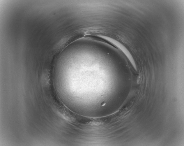 X0000066090255200603101213