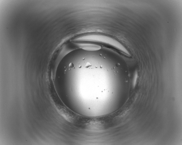 X0000066090256200603101213