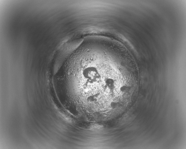 X0000066090257200603101213