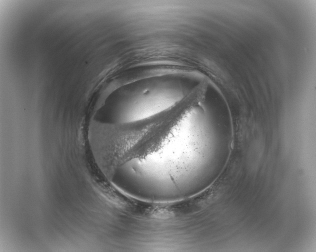 X0000066090258200603101213